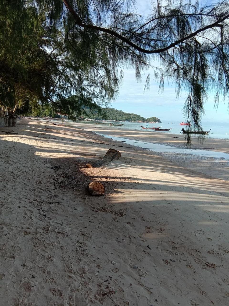 كو تاو Prik Thai Resort المظهر الخارجي الصورة